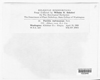Image Associated With the Occurence